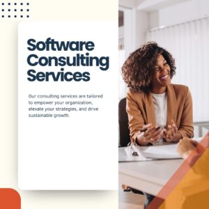Software Consulting