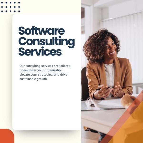 Software Consulting
